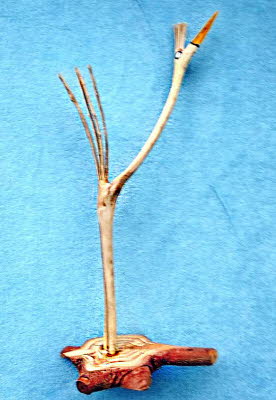 Schr�ge V�gel 005